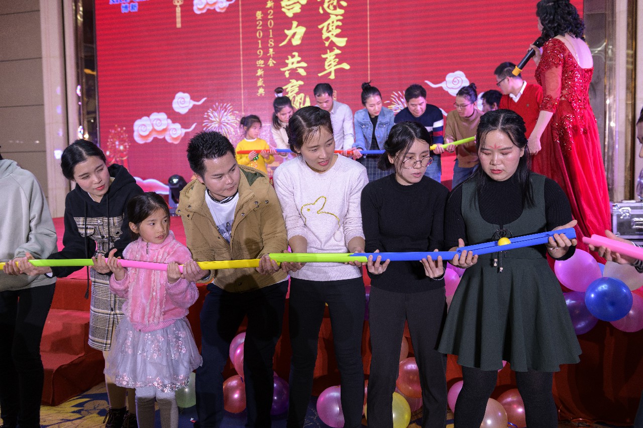 銳意變革，合力共贏(yíng)——博新2018年會(huì )暨2019迎新盛典圓滿(mǎn)落幕